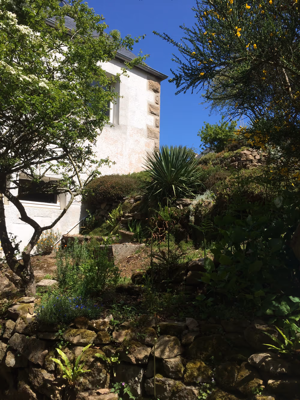 Extension d’une maison de famille – Trebeurden – Existant