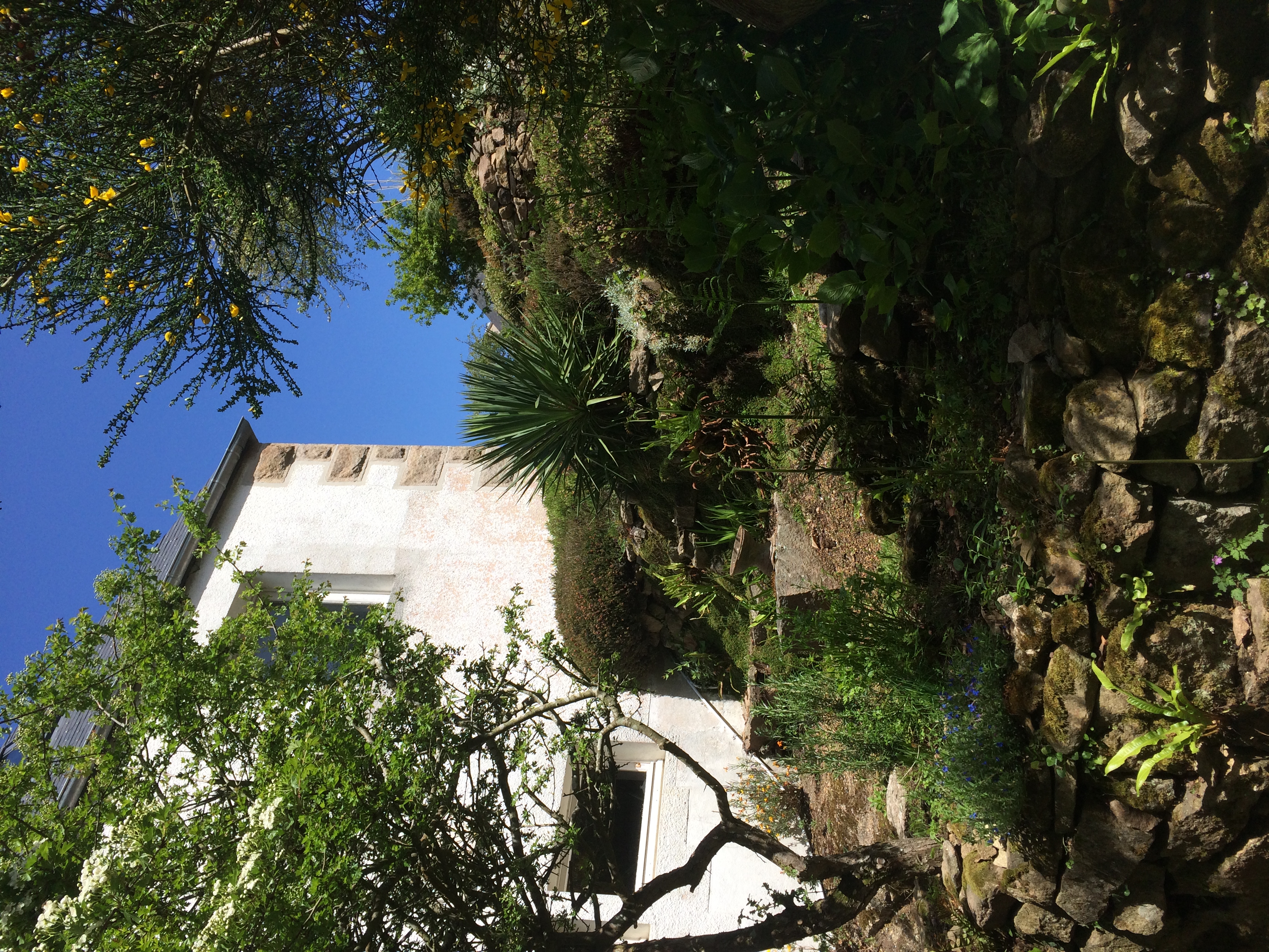 Extension d’une maison de famille – Trebeurden – Existant